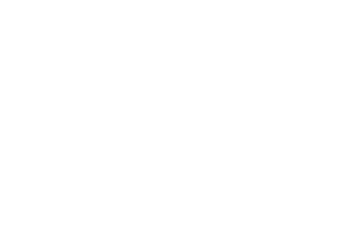 wingwave coaching wingwave coaching logo